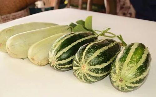 泡泡吃瓜网红,揭秘网红圈背后的故事  第3张