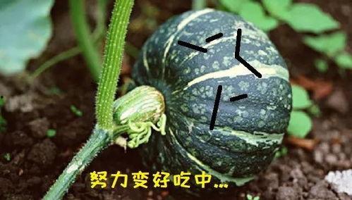 今日吃瓜吃最新最真的瓜,真相大白，网友热议不断  第2张