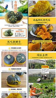 娱乐吃瓜背景模板下载安装,揭秘明星幕后故事，吃瓜群众狂欢时刻  第2张