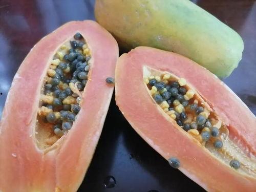 吃瓜今日吃瓜入口路线一,探寻“吃瓜今日吃瓜入口路线”的一生传奇 第2张 吃瓜今日吃瓜入口路线一,探寻“吃瓜今日吃瓜入口路线”的一生传奇 第2张