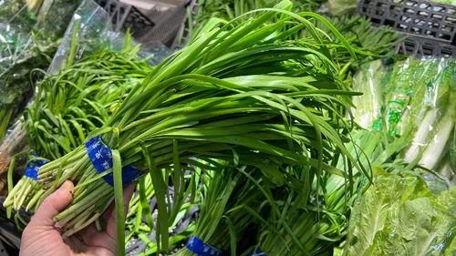 今日立春吃瓜视频