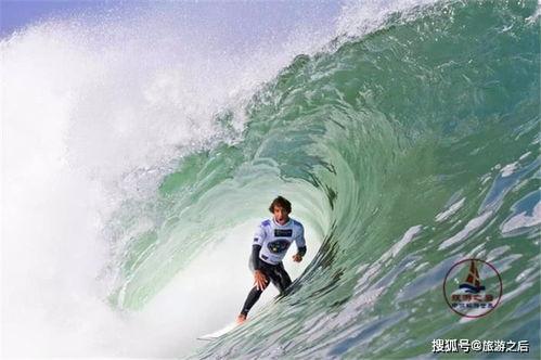 吃瓜冲浪网红日记,吃瓜冲浪，揭秘娱乐圈幕后故事  第3张