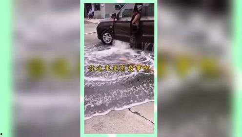 娱乐吃瓜鱼塘,吃瓜鱼塘里的那些事儿 第2张 娱乐吃瓜鱼塘,吃瓜鱼塘里的那些事儿 第2张