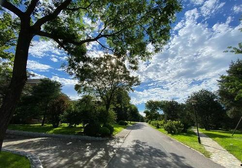 娱乐吃瓜鱼塘,吃瓜鱼塘里的那些事儿 第3张 娱乐吃瓜鱼塘,吃瓜鱼塘里的那些事儿 第3张