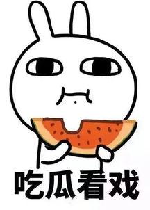 热点事件今日吃瓜,揭秘吃瓜群众的狂欢盛宴  第3张