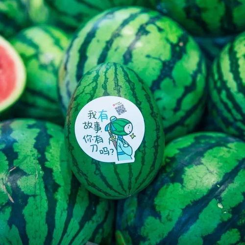 吃瓜网红1080p,高清视角下的娱乐圈风云  第3张