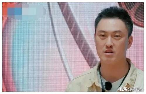 娱乐圈吃瓜崽是谁,揭秘娱乐圈神秘“吃瓜崽”身份之谜 第3张 娱乐圈吃瓜崽是谁,揭秘娱乐圈神秘“吃瓜崽”身份之谜 第3张