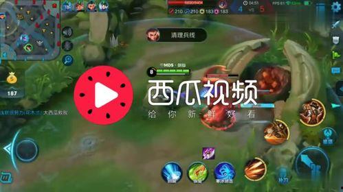 娱乐吃瓜号的背景音乐是什么 第2张 娱乐吃瓜号的背景音乐是什么 第2张