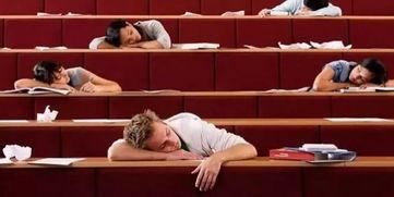 很少看到德国留学生娱乐吃瓜,娱乐吃瓜，鲜为人知的幕后故事  第3张