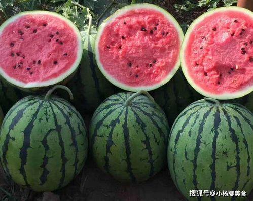 娱乐吃瓜姐买鸭,揭秘“吃瓜姐买鸭”背后的故事 第2张 娱乐吃瓜姐买鸭,揭秘“吃瓜姐买鸭”背后的故事 第2张