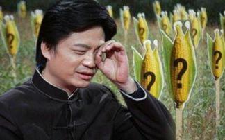 娱乐圈吃瓜老炮儿导演  第2张